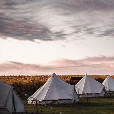 Coonawarra Bush Holiday Park Екстер'єр фото