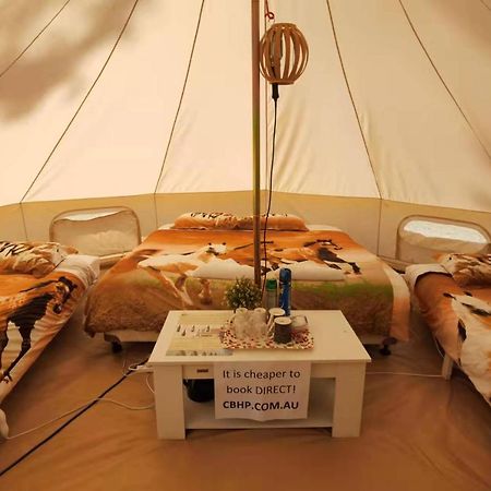Coonawarra Bush Holiday Park Екстер'єр фото